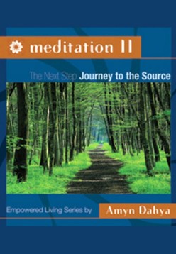 Meditqtion vol 2, book by Amyn Dahya